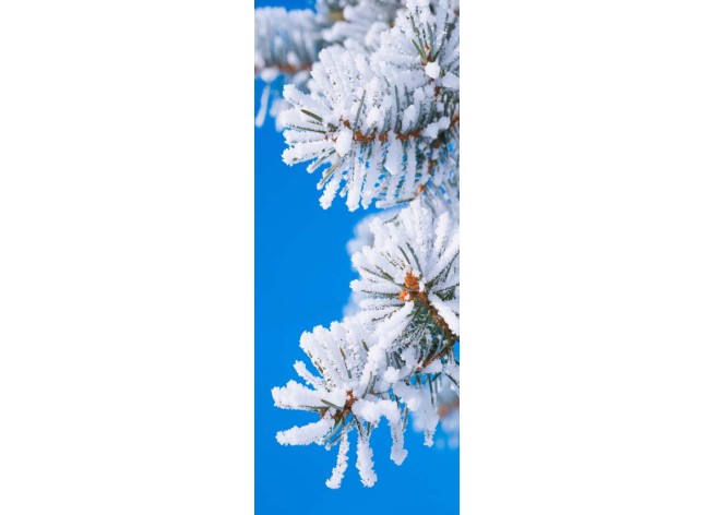 Наклейка на дверь Сосновые ветки в снегу на фоне голубого неба